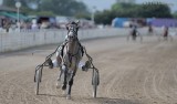 Harness racing 120708_8